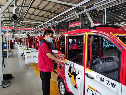 能上牌,接娃買菜都方便的 電動小三輪 ,八大品牌都出手了