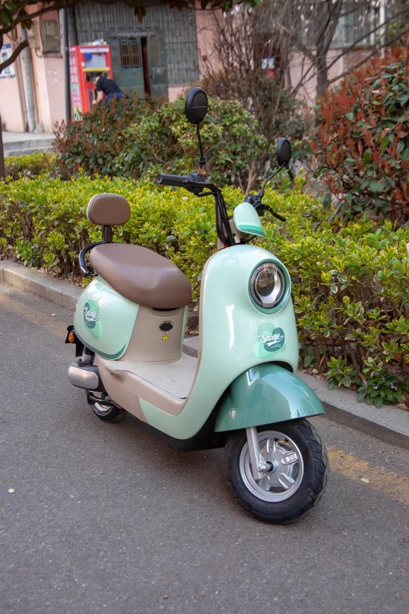 春游出行好伴侶 性價比高的電動車推薦，為175身高量身定制